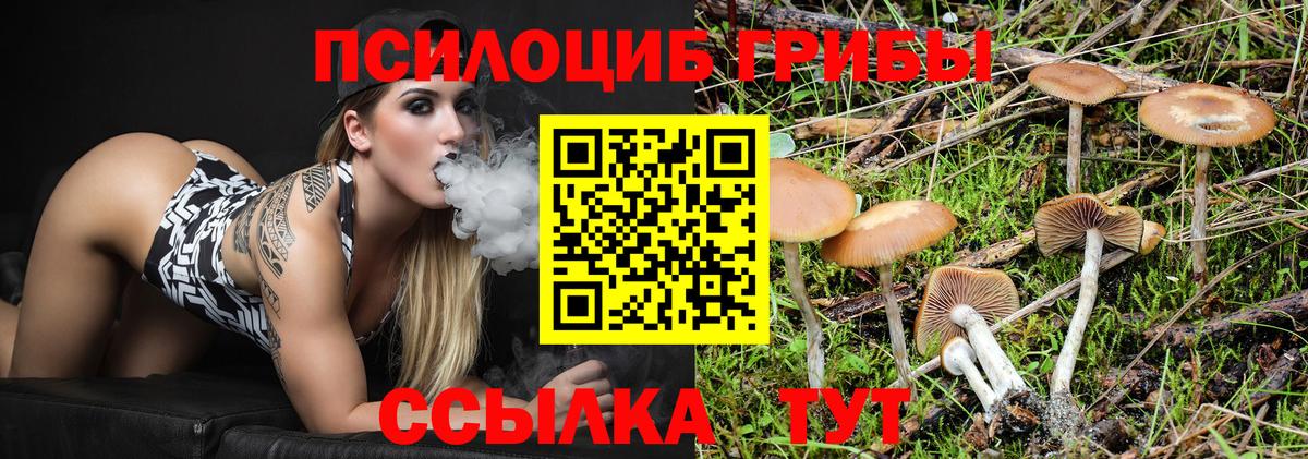 А ПВП Полысаево