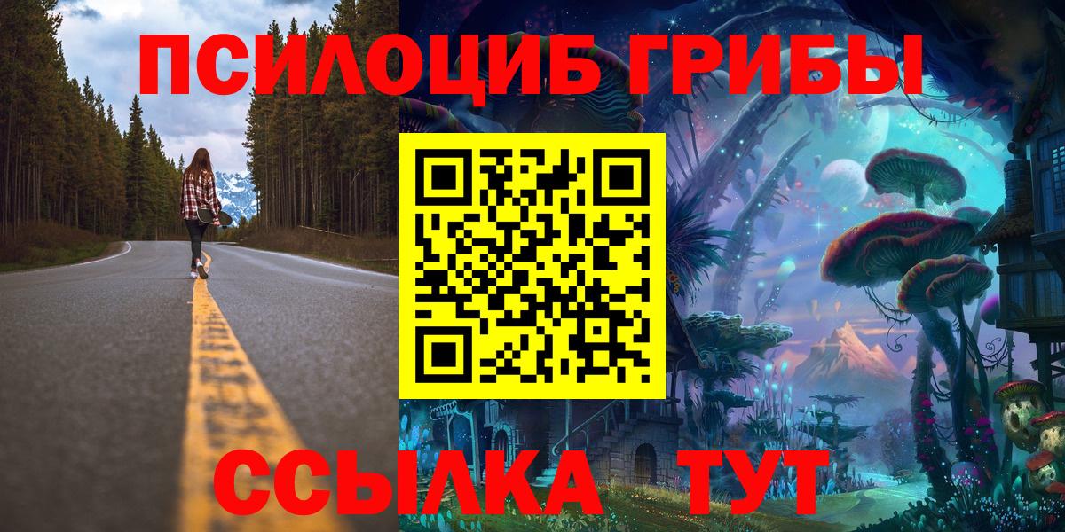 Галлюциногенные грибы Cubensis  Вход с VPN  Полысаево 